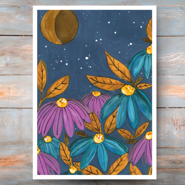 MIDNIGHT AND ECHINACEA  (art print)