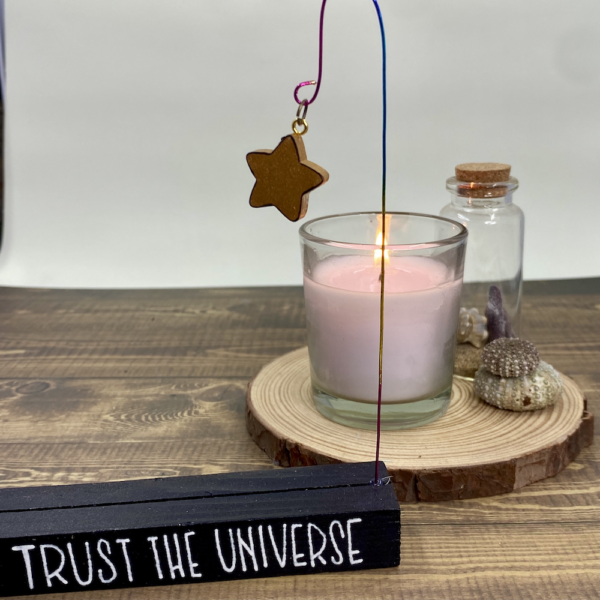 TRUST THE UNIVERSE (STAND)